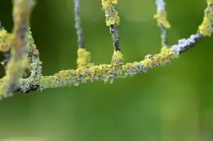 Zástavní Právo Katastr Nemovitostí