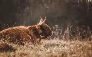 Jak Přerušit Živnost